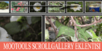ScrollGallery